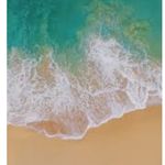 Dawn Jamison - @dawnjamison8 - Instagram