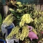 Dawn Jessup - @jessup_dawn - Instagram