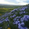 dawnjett1406 - @dawnjett1406 - TikTok