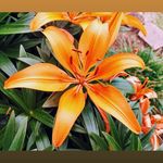 Mary Dawn Jett - @jett.mary - Instagram