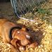 Dawn Johnston - Facebook