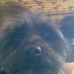 Dawn Jost - Facebook