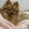 DawnJuarez - @dawnjuarezcsygfdbh - TikTok