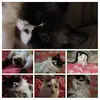 Dawn Kaiser410 - @dawnkaiser410 - TikTok