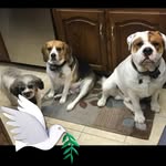 Dawn Kaiser Gearhart - @dawnkaisergearhart - Instagram
