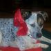 Dawn Kehoe - Facebook