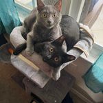 Dawn Kehoe - @dawnk6 - Instagram
