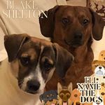 Dawn Kerby - @dawnk.crafts - Instagram
