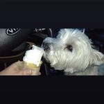Dawn Kerby - @dawnk0413 - Instagram