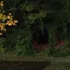 Dawn Kiser - @dawn.kiser4 - TikTok