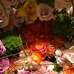 Dawn Knipe - @dawn_m_knipe - Instagram