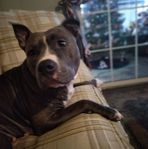 Dawn Knowlton - Facebook