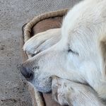 Dawn Krueger - @dkrueger19635986 - Instagram