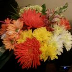 Dawn Krueger - @dkrueger63 - Instagram