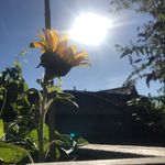 Dawn Krueger - @krueger.d - Instagram