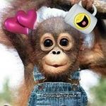 Dawn Kyle - @dawnkyle3129 - Instagram