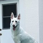 Dawn Lacey - @dawn.lacey.37 - Instagram