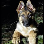 Dawn Ladd - Facebook