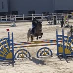 Dawn Ladd Finn - Facebook