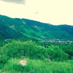 Dawn Lamping - @dl522 - Instagram