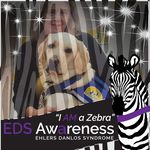 Dawn M. Laughlin - @dawnwings4031 - Instagram