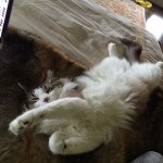 Dawn Erickson Leatherwood - @dawnleatherwood - Instagram