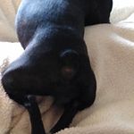 Dawn Leigh - @dawnleigh - Instagram