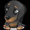 Dawn Lentz - @dawnlentz59 - TikTok