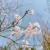 DawnLeopold - @dawnleopold8 - TikTok