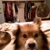 Dawn Blett - @dawnblett - TikTok