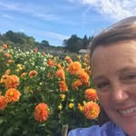 Dawn Levitt - @dawnlevitt - Instagram