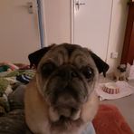 Dawn Lewin - Facebook