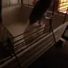 Dawn Lewin - @dawn.lewin26 - TikTok