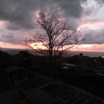 Dawn Ley - @dawn.ley.1 - Instagram