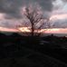Dawn Ley - Facebook