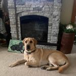 Dawn Liddick - @vincedawnl - Instagram