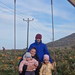 Dawn Liddle - @dawne84 - Instagram