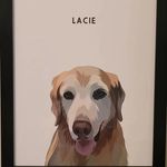 Dawn Liedtke - @dawnmarieliedtke - Instagram