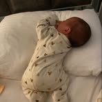 Dawn Lieberman - Facebook