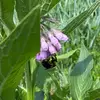 dawn_likes2_garden - @dawn_likes2_garden - TikTok