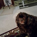Dawn Lind - @dawn.lind.54 - Instagram