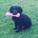 Dawn Lines - @dawnlines25 - Instagram