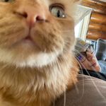 Dawn Lingle - @dmlingle - Instagram
