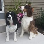 Dawn Ratzlaff Linski - @linskidawn - Instagram