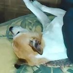 Dawn Marie Swinford-lippert - @babbzzie - Instagram