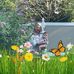 Dawn Liss Fiore - Facebook