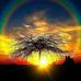 Dawn Liss McClung - Facebook