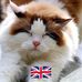 Dawn Loftus - Facebook