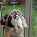 Dawn Loftus - Facebook