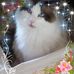 Dawn Loftus - Facebook